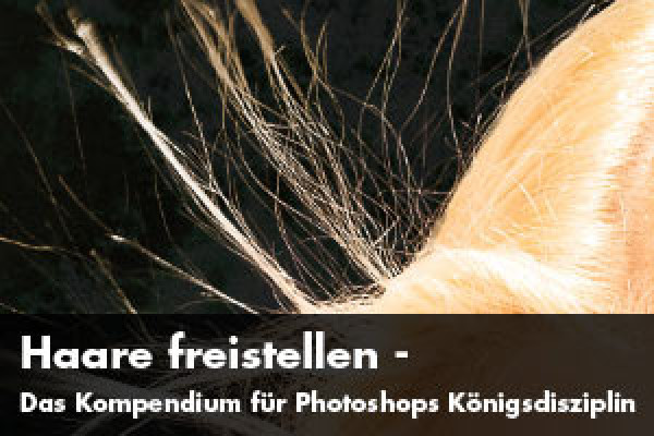 Haare freistellen - das Kompendium für Photoshops Königsdisziplin