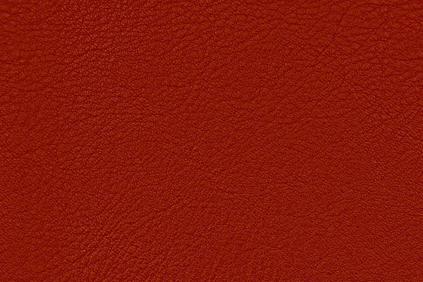 Leder-Texturen in Rot