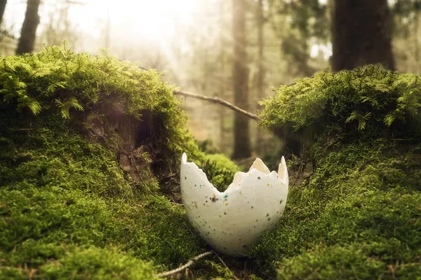 Picture of an Easter egg for magical Easter greetings: bedded in moss