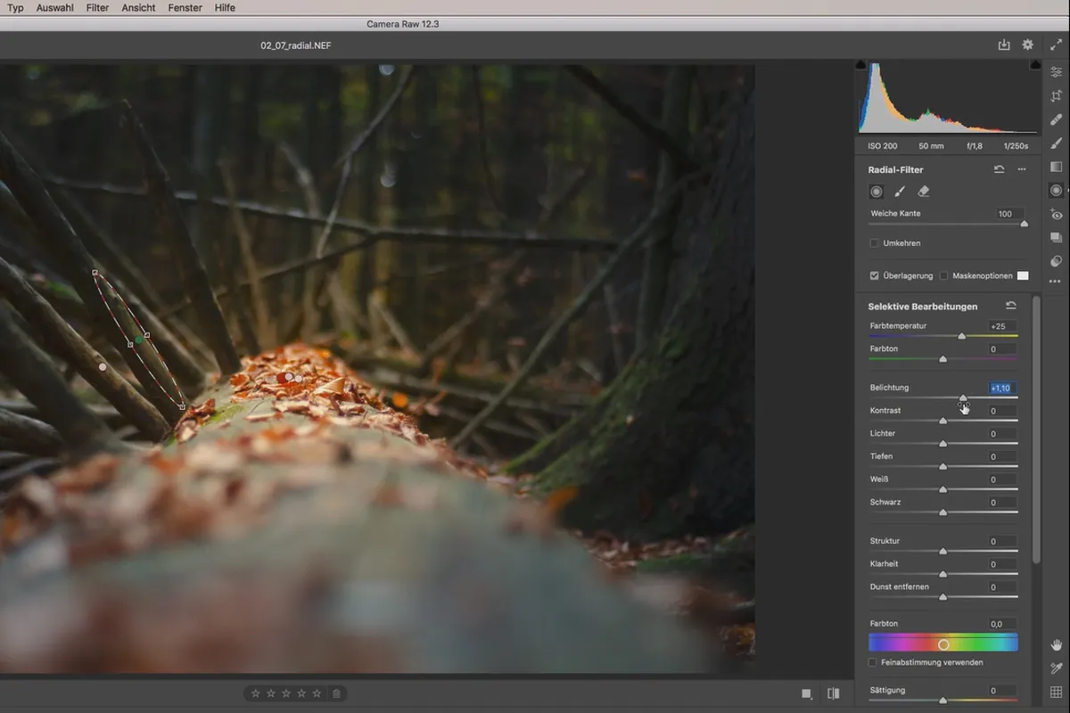 Camera Raw-Tutorial: 2.7 | Radialer Verlauf