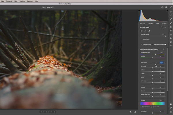 Cours sur Camera Raw : 2.7 | Dégradé radial