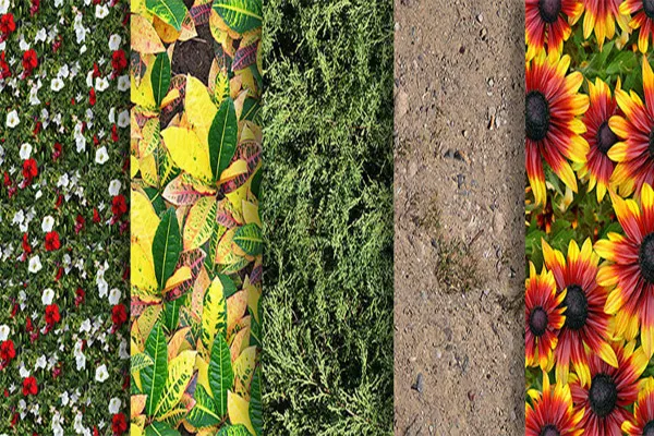 Hochauflösende fotorealistische Pflanzen-Texturen basierend auf Echtaufnahmen