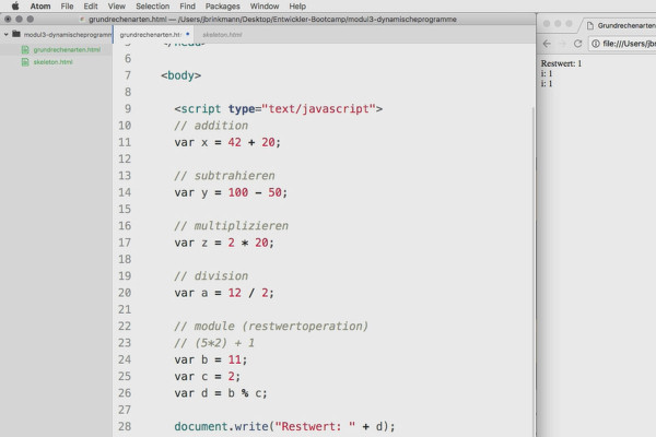 Software programming for beginners: 3.1 Basic arithmetic - aka arithmetic