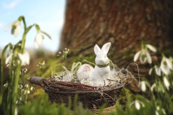 Bild eines Ostereis für zauberhafte Ostergrüße: mit Hase, Nest und Schneeglöckchen