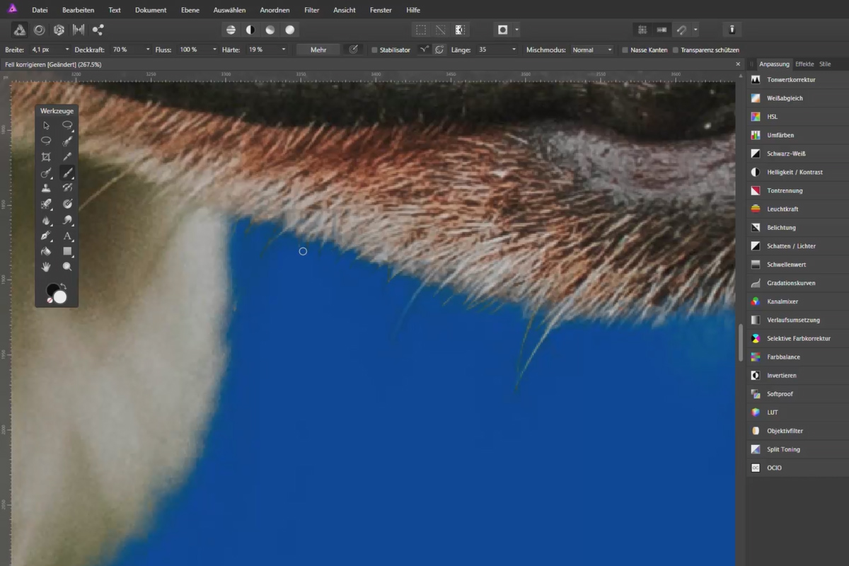Fjern bakgrunnen med Affinity Photo: 11 | Korrigere pelsen.