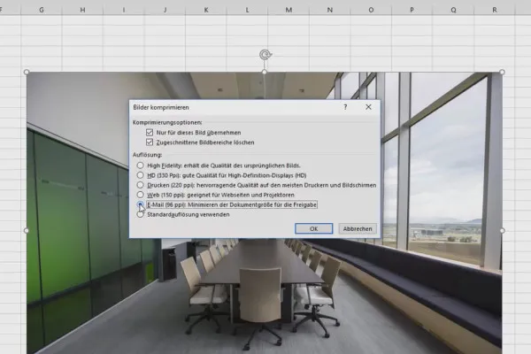 Formation Excel pour le contrôle de gestion et la vente : liste des assortiments, unités, devises, etc. – Réduire la taille des images 3.2