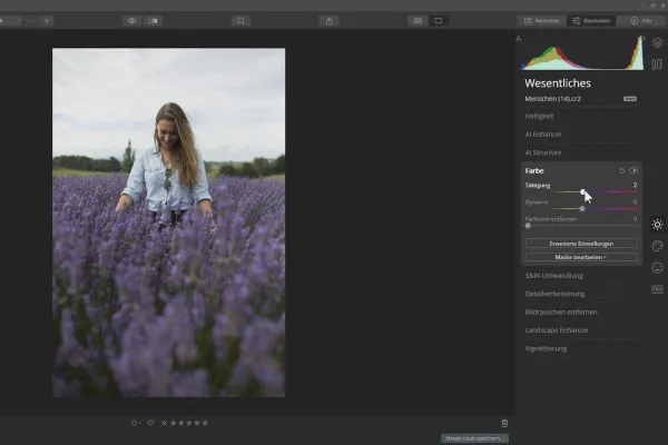 Skylum Luminar 4 vejledning: 2.1 | Filter generelt