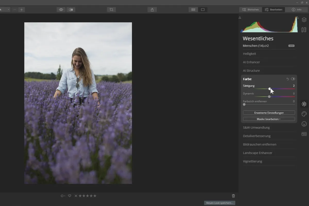 Skylum Luminar 4 vejledning: 2.1 | Filter generelt