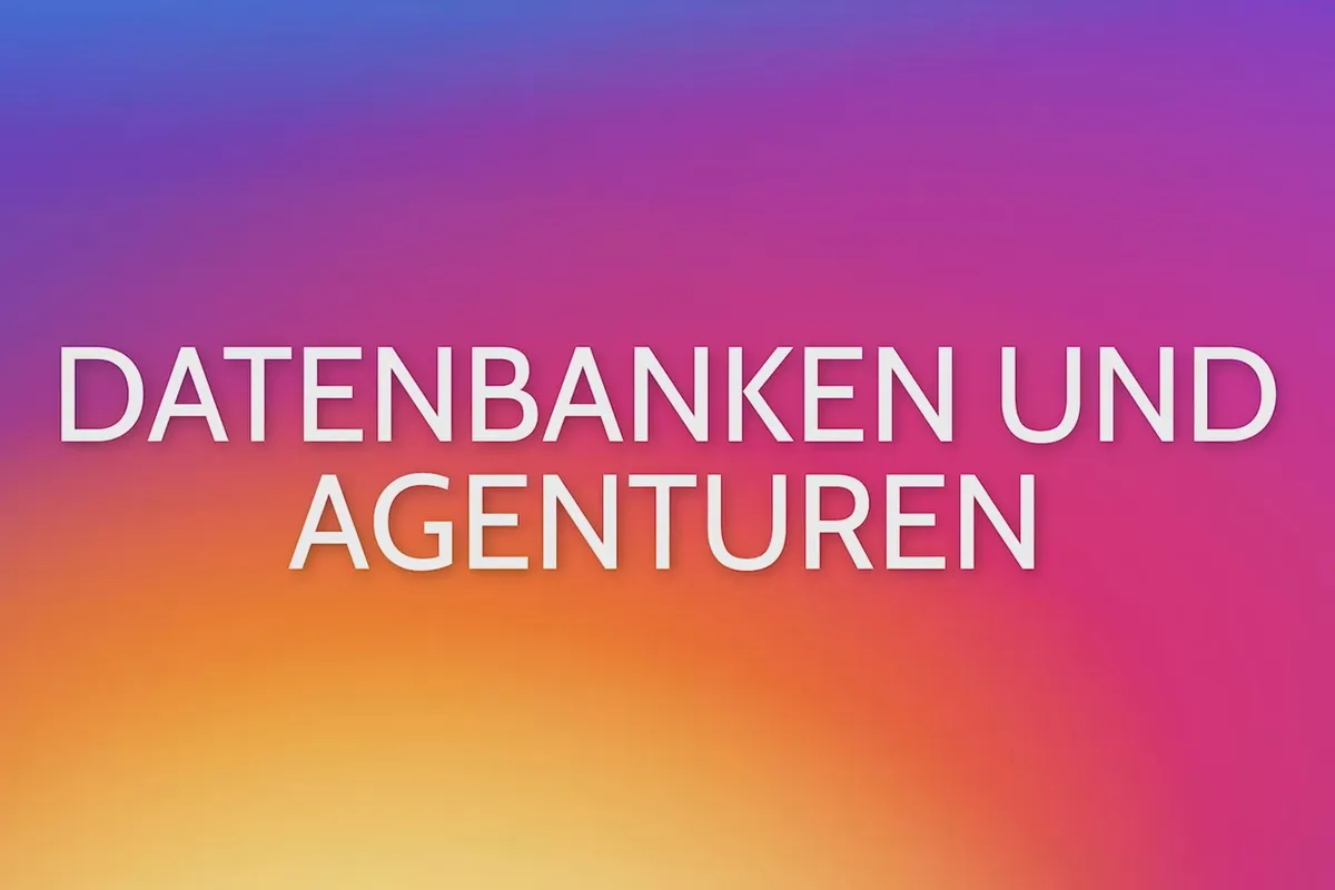 Influencer! Mit Instagram Geld verdienen | 3.4 Influencer-Datenbanken und -Agenturen