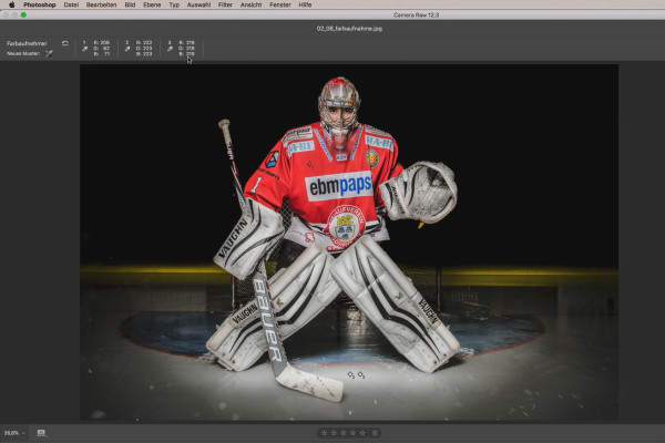 Tutoriel Camera Raw : 2.8 | Pipette de couleur