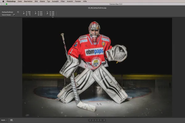 Camera Raw-Tutorial: 2.8 | Farbaufnehmer