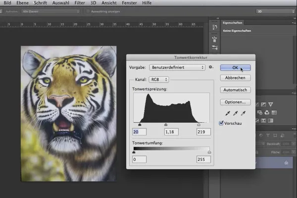 Digitale Bildbearbeitung für Airbrush-Künstler: Erste Hilfe – Tonwertkorrektur und das Stempelwerkzeug