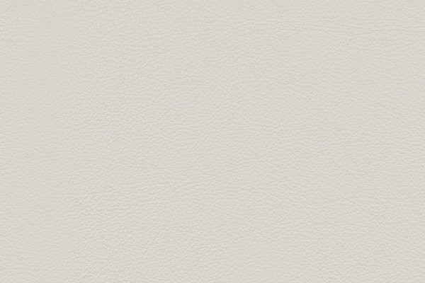 Ledertexturer i beige