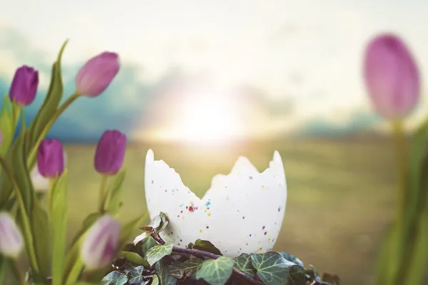 Picture of an Easter egg for magical Easter greetings: with tulips and spring sunshine