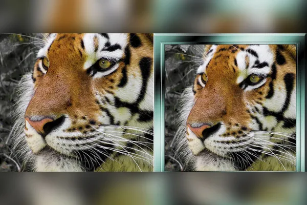 Photoshopi tegevus: Raamistiku komplekt 2