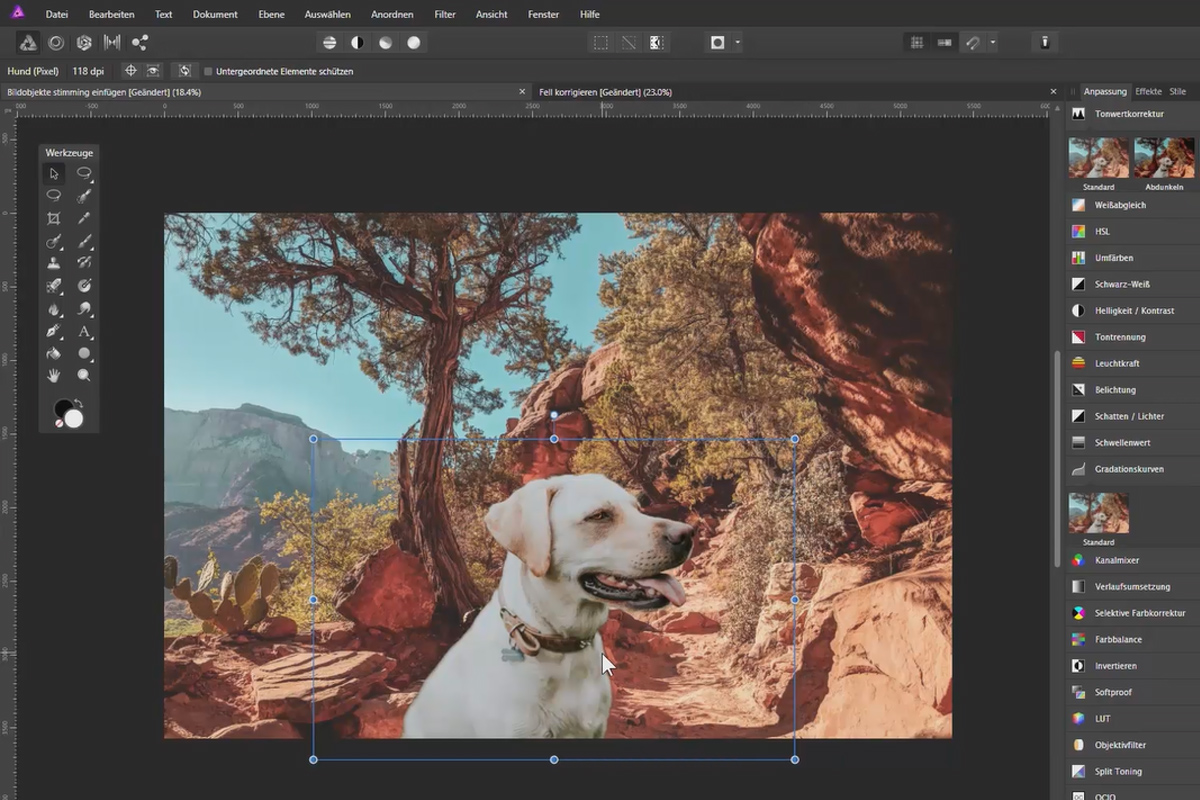 Frigjøre med Affinity Photo: 12 | Sett inn bildobjekter sømløst