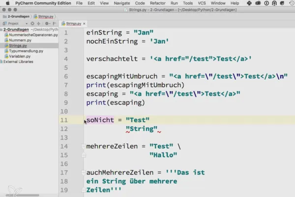 Programmieren mit Python – 2.5 Strings verwenden