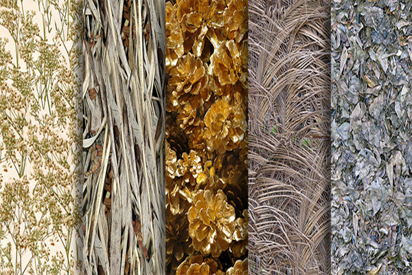 Pacchetto di texture - texture fotorealistiche piastrellabili senza soluzione di continuità - Piante 3