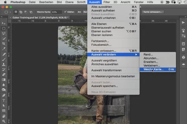 Foresta Nera: Il flusso di lavoro in Photoshop - 12 vignette.