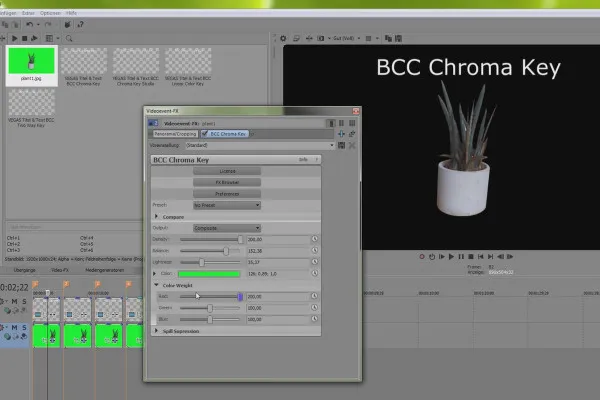 베가스 프로 14 - BCC FX 키잉