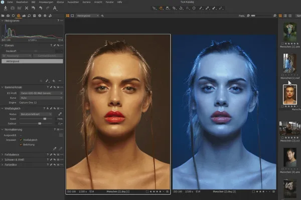 Capture One Pro-Tutorial: 2.7 | Fotos organisieren II
