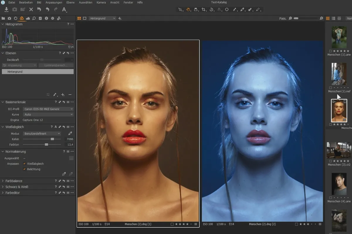 Capture One Pro-Tutorial: 2.7 | Organizzare foto II