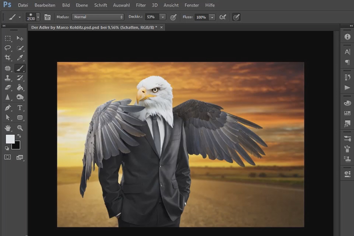 Photoshop-sammensætning - Ørnen: 03 - Frigør, rekonstruer, placer, skygge og belys.