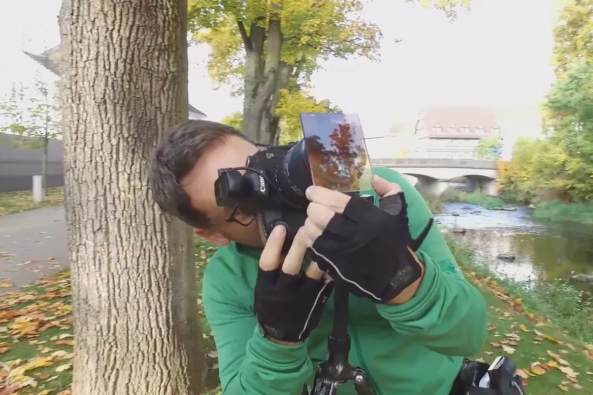 Herbststimmung mit dem Lichtemotionist – 13 Bildkomposition mit überhängenden Ästen