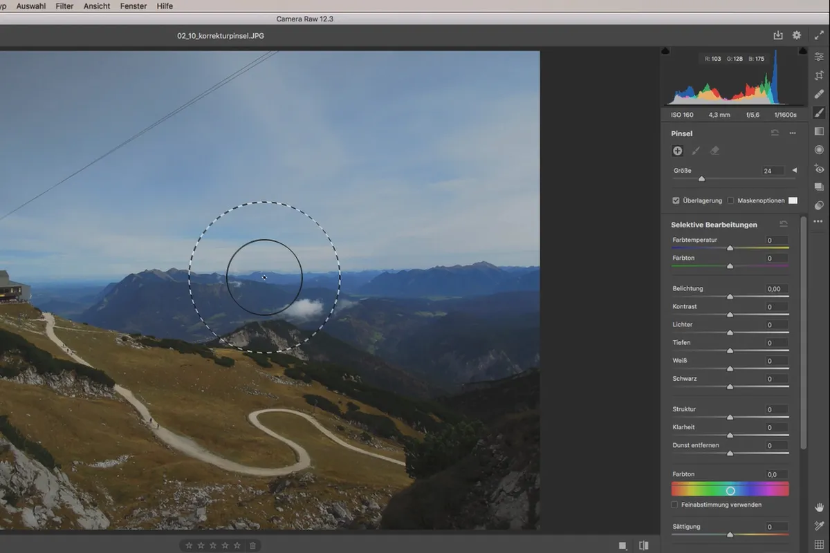 Camera Raw-Tutorial: 2.10 | Korrekturpinsel