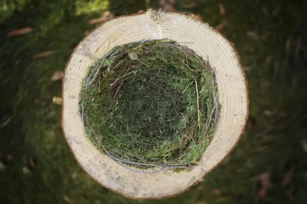 Picture of an Easter nest for magical Easter greetings