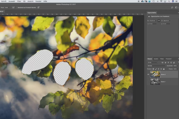 Photoshop para principiantes e intermedios - 3.1 Principio de las capas