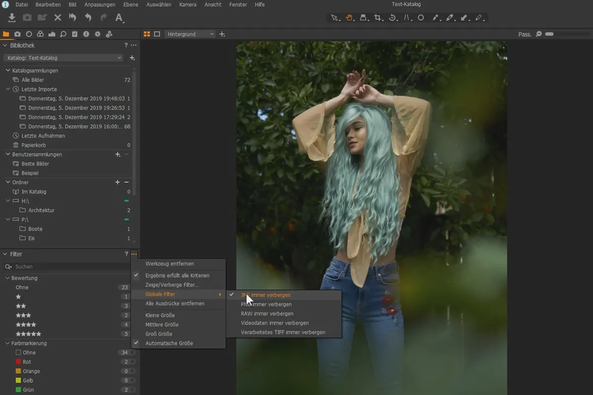 Capture One Pro-Tutorial: 2.8 | Suchfilter verwenden