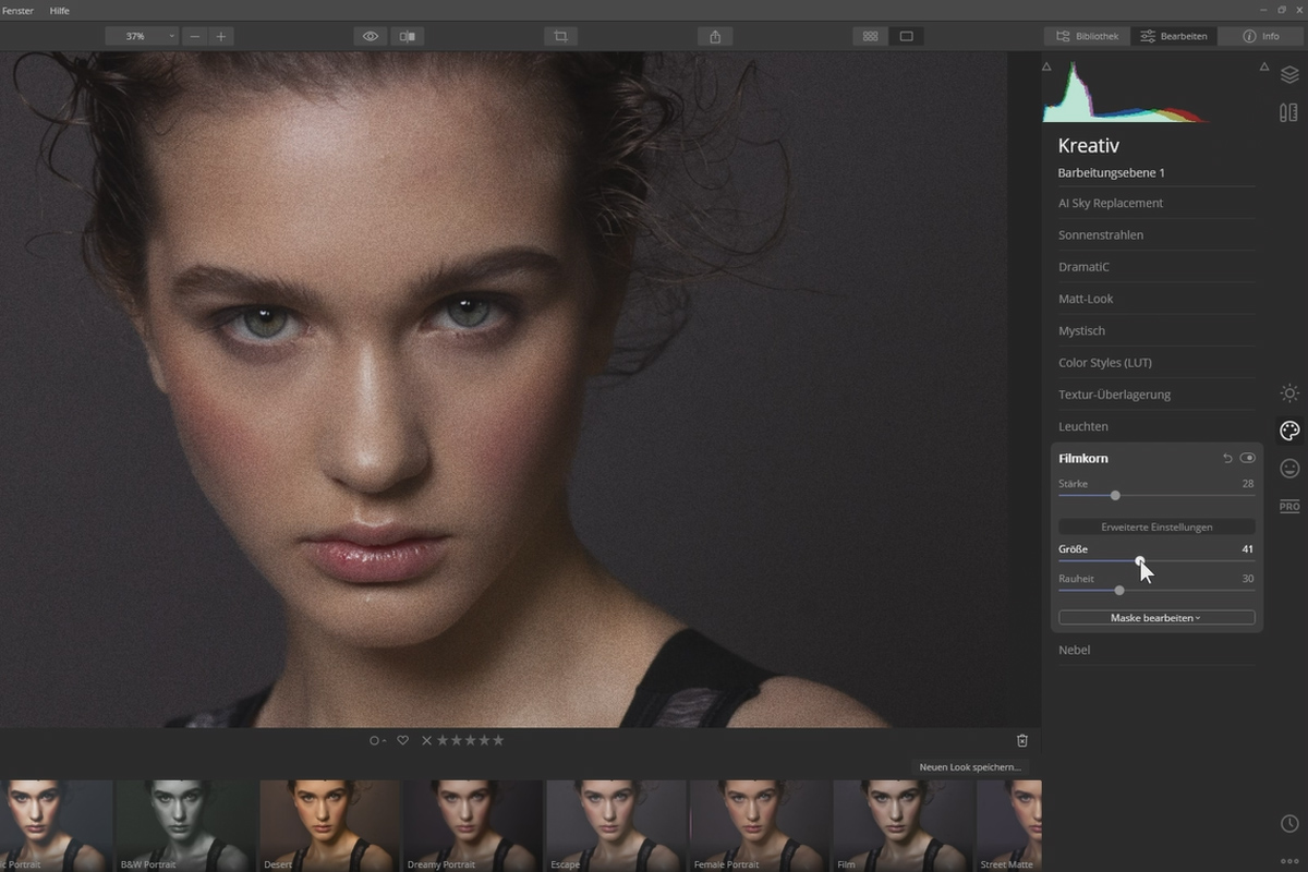 Skylum Luminar 4 - Tutoriel : 2.4 | Filtre - Exemples