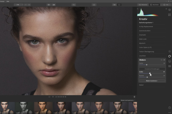 Tutorial Skylum Luminar 4: 2.4 Filtros - Ejemplos