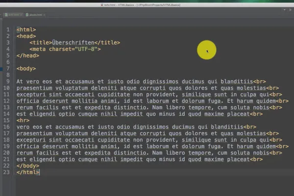 Základy HTML, CSS a JavaScript - vložte 14 odstavců.