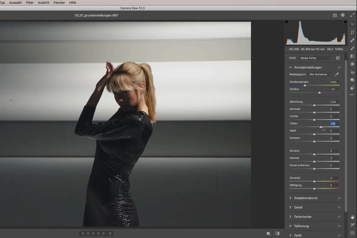 Camera Raw-Tutorial: 3.1 | Grundeinstellungen