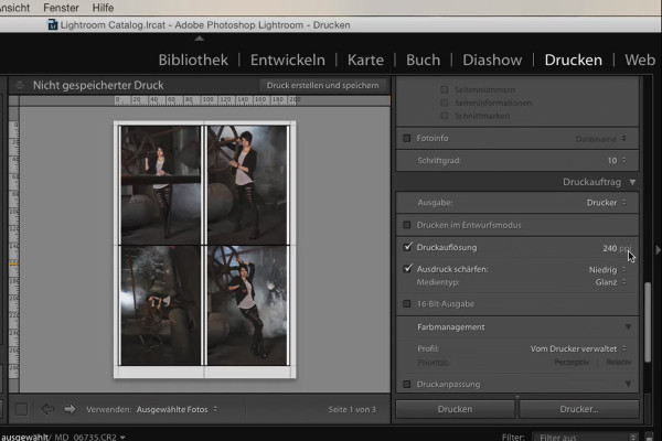 Lightroom pour débutants et avancés : 03 - Aperçu des commandes - 3.6 - Imprimer
