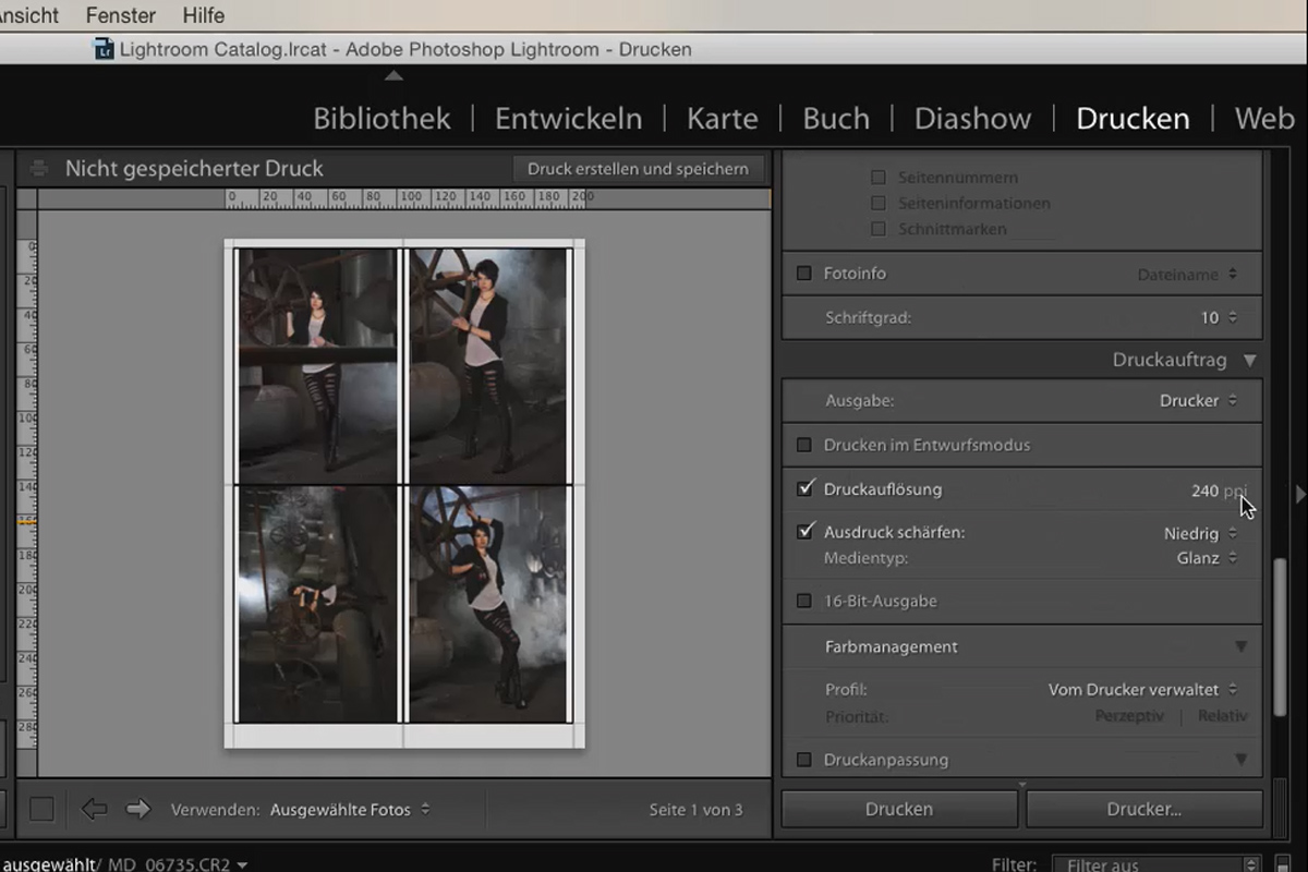 Lightroom para principiantes y expertos: 03 - Los controles de un vistazo - 3.6 - Impresión
