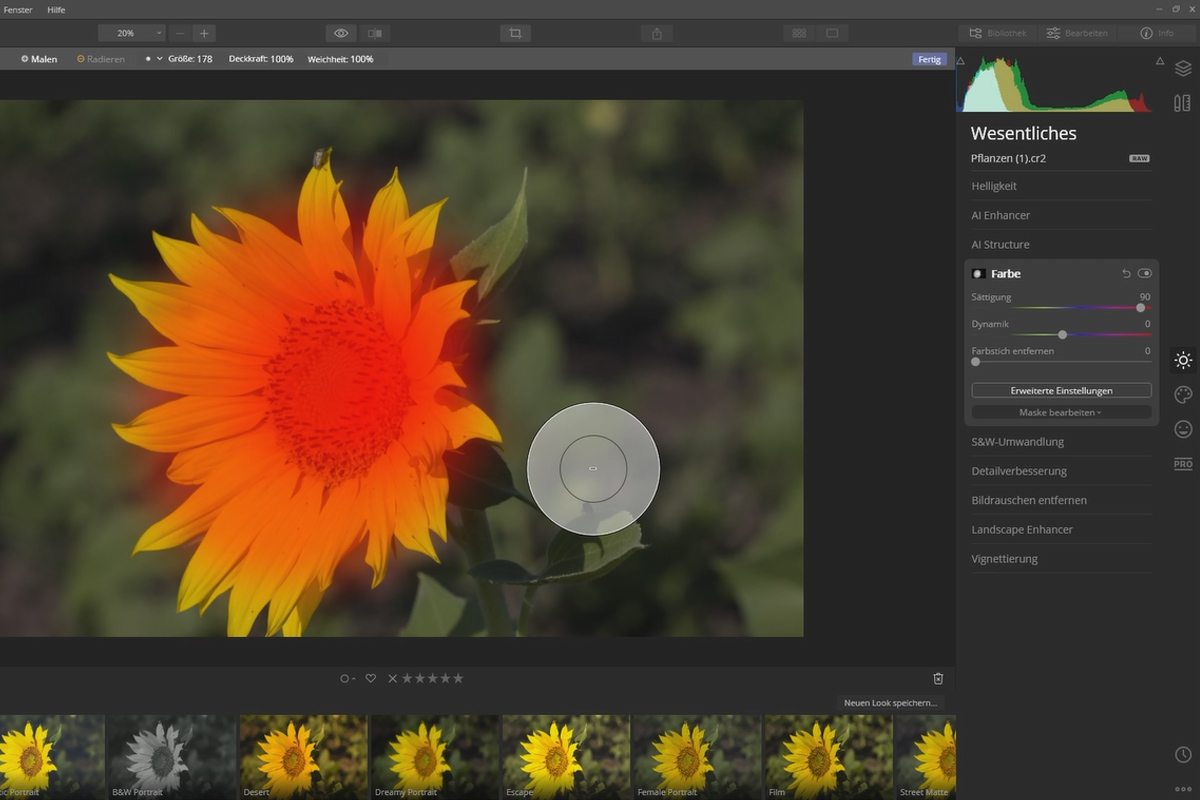 Skylum Luminar 4 Tutoriel : 2.5 | Utilisation des masques