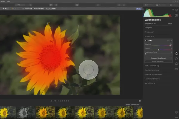 Skylum Luminar 4-tutorial: 2.5 | Brug af masker