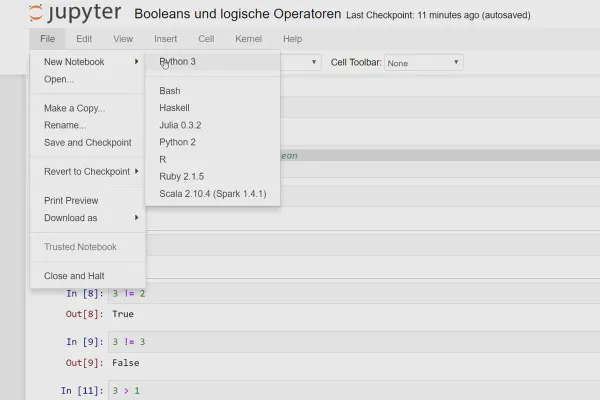 Python-Programmierung für Einsteiger – 15 If-, Elif- und Else-Anweisung