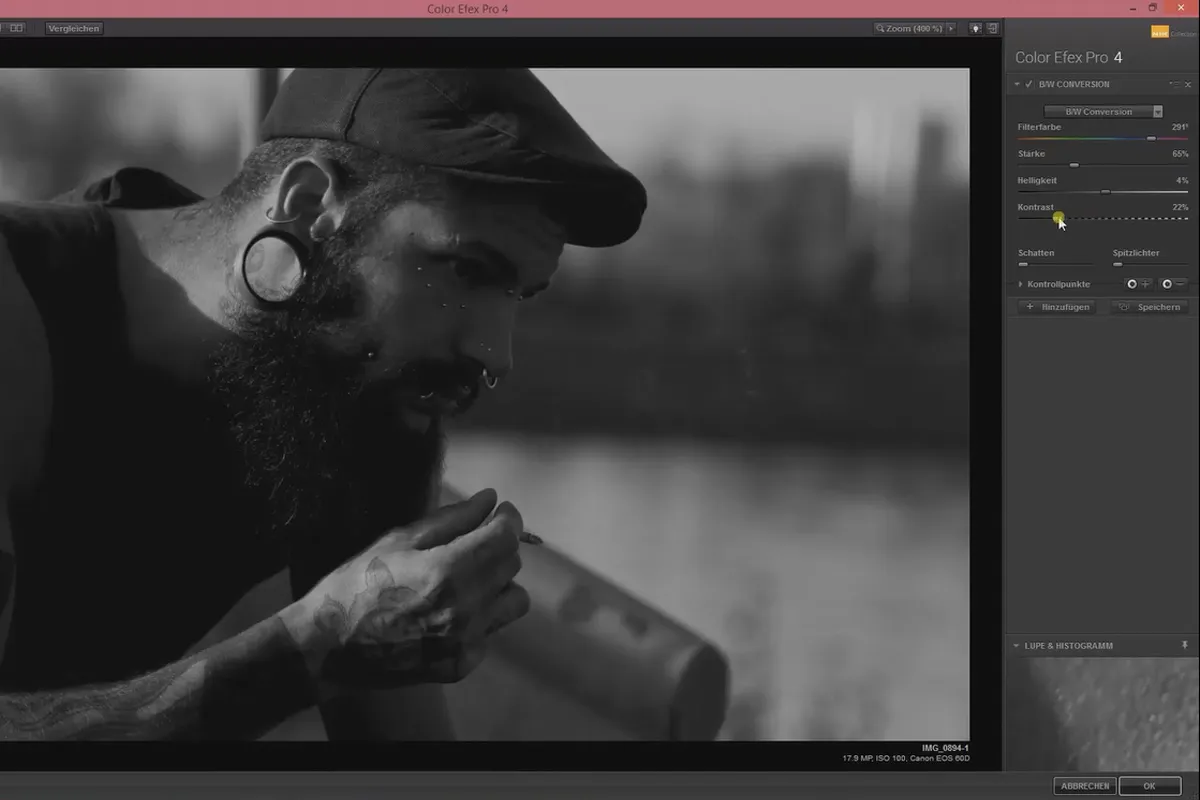 Nik Collection – Looks & Styles mit Color Efex Pro 4: 15 Schwarz-Weiß-Konvertierung