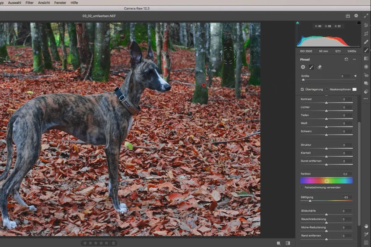 Camera Raw-tutorial: 3.2 | Omlakkering.