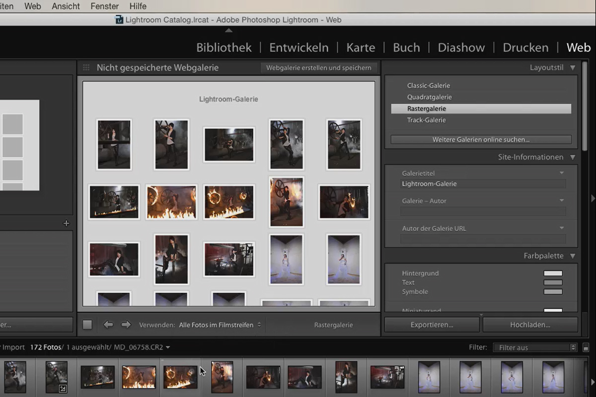 Lightroom para principiantes y usuarios de nivel intermedio: 03 - Los controles de un vistazo - 3.7 - Web