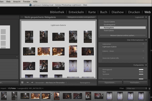 Lightroom pour débutants et avancés : 03 - Aperçu des commandes - 3.7 - Web
