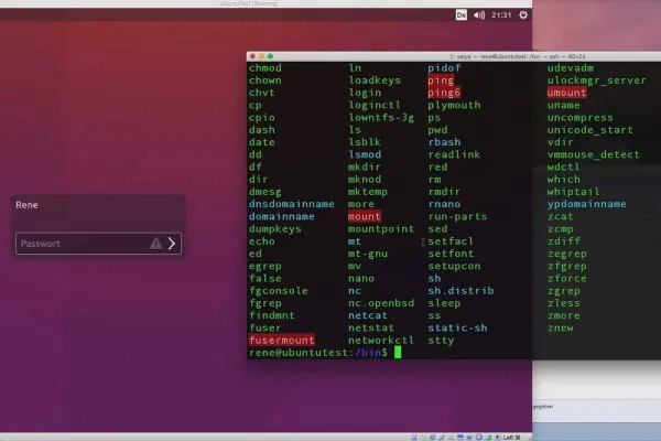 Melihat isi direktori dengan ls untuk pemula Linux - 5.2.