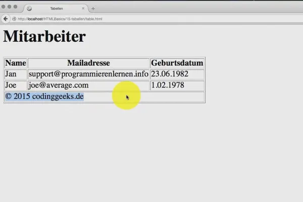 Základy HTML, CSS a JavaScript - použít 16 tabulek.