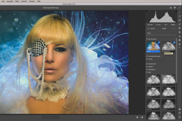 Tutorial Camera Raw: 3.3 | Scala di grigi