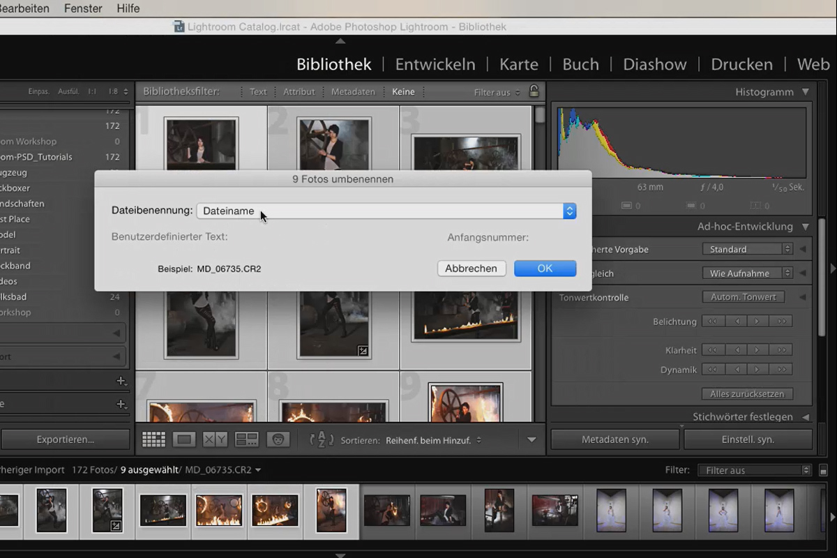 Lightroom para principiantes y expertos: 04 - Catálogo - 4.1 - Asignación de nombres a las imágenes