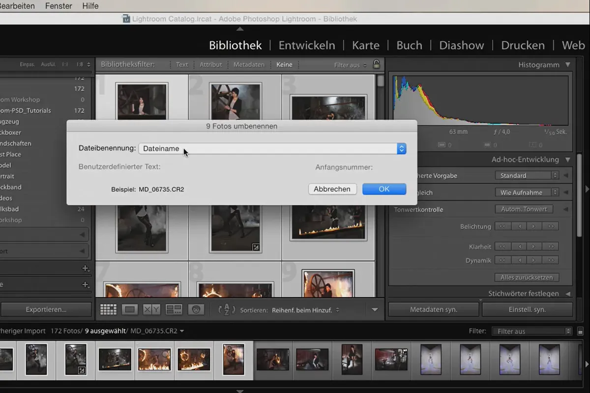 Lightroom für Einsteiger und Aufsteiger: 04 - Katalog - 4.1 - Bilder benennen